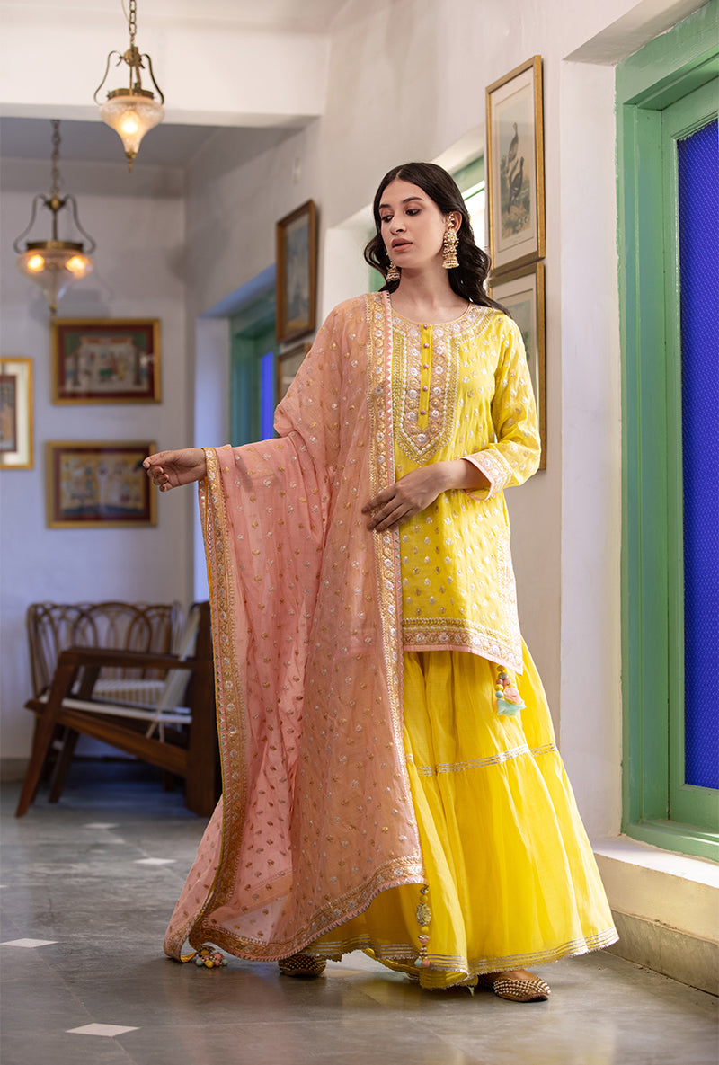 Pink And Yellow Zari Mastaani Gharara Set