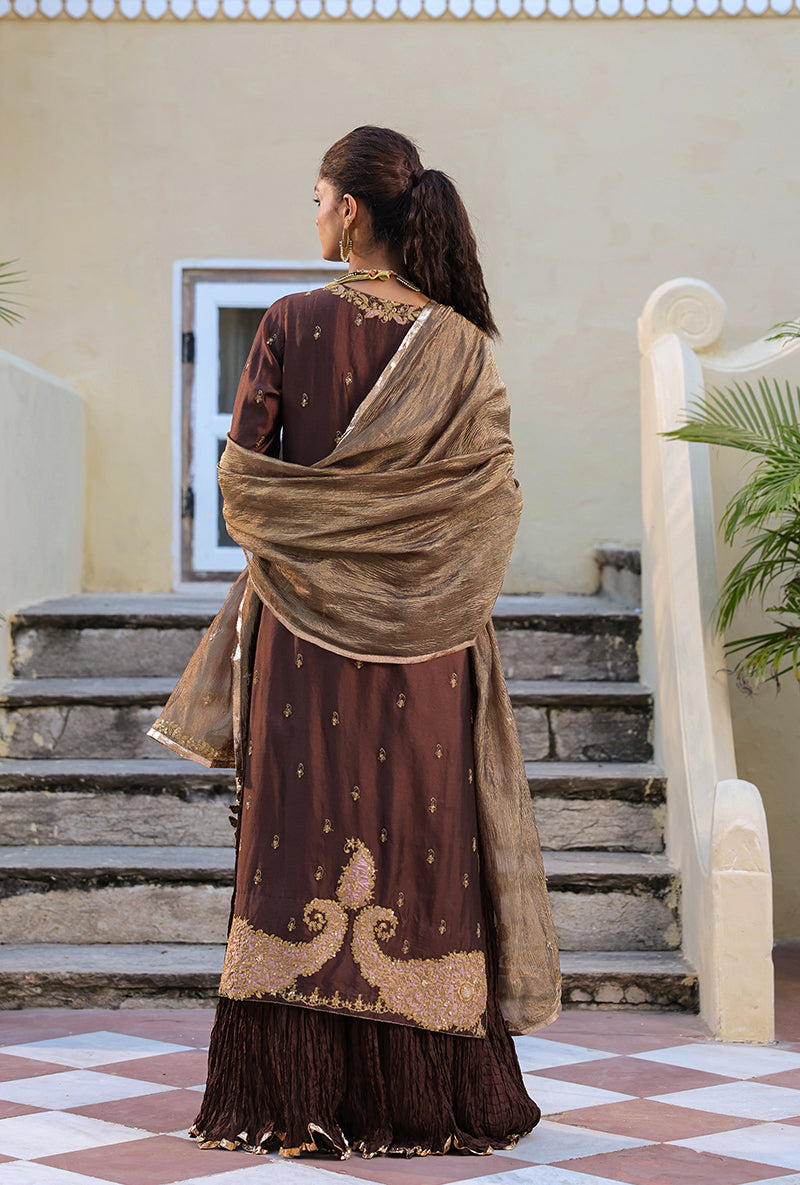 Brown Straight Raag Kurta Set