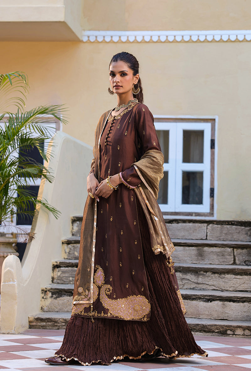 Brown Straight Raag Kurta Set