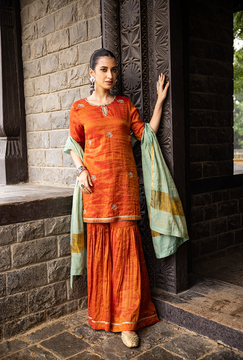 Rust Elephant Motif Surmayi Sharara Set