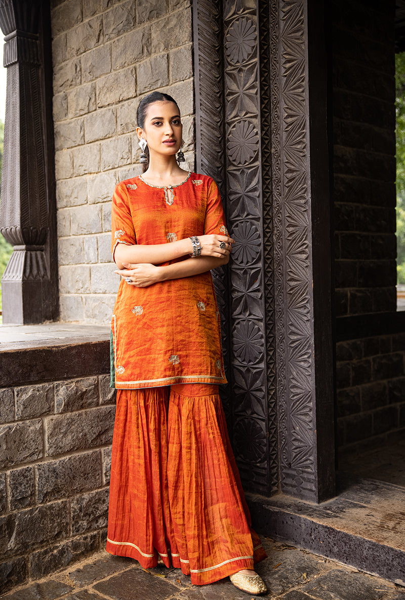 Rust Elephant Motif Surmayi Sharara Set