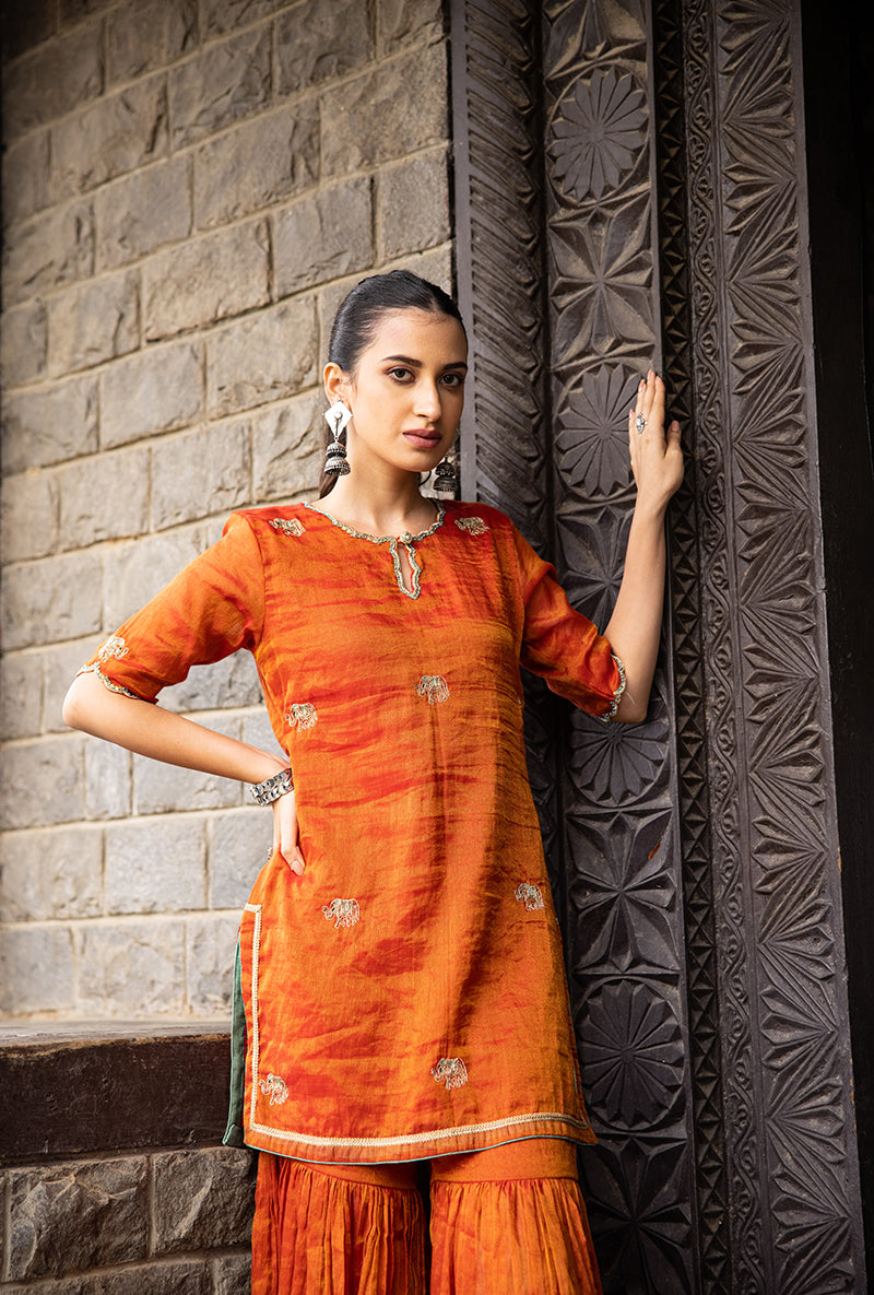 Rust Elephant Motif Surmayi Sharara Set