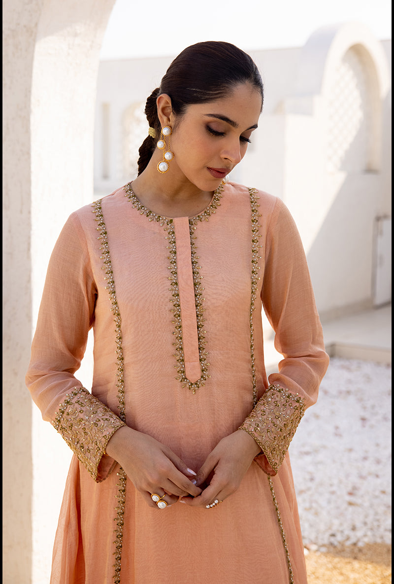 Peach Zari And Resham Embroidery Dua Anarkali Set